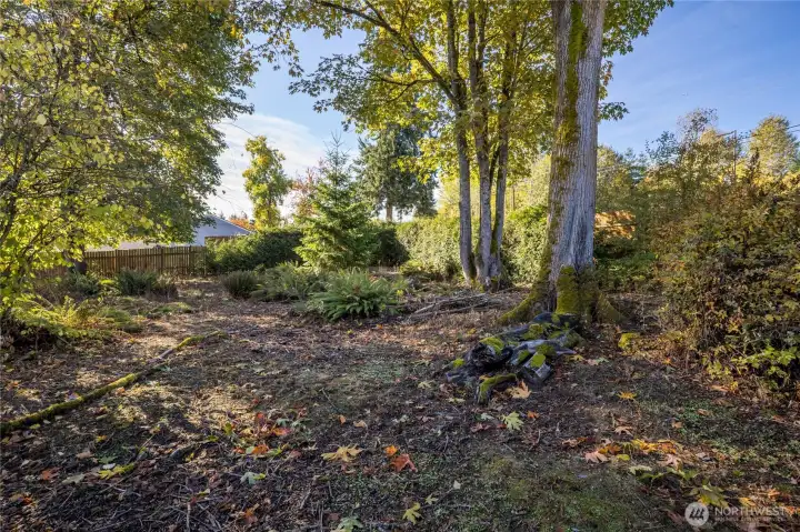 Your own private woodland!