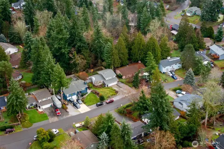 Backs up to green belt.