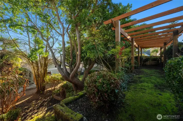 the terraced back yard makes for excellent gardening opportunities, and amazing views!