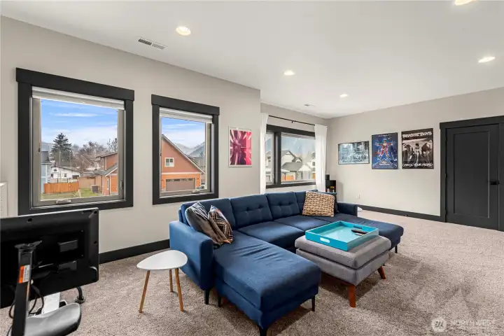 Media Room/Excercise Room