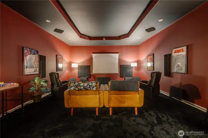 Audiophiles Delight - while displayed as a general media room this was designed to ROCK
