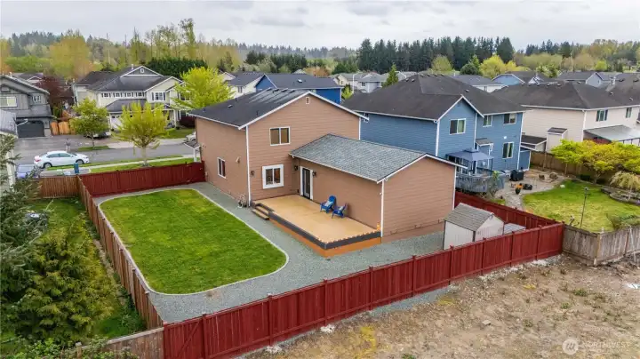Blackberries well maintained to keep them far from the fence