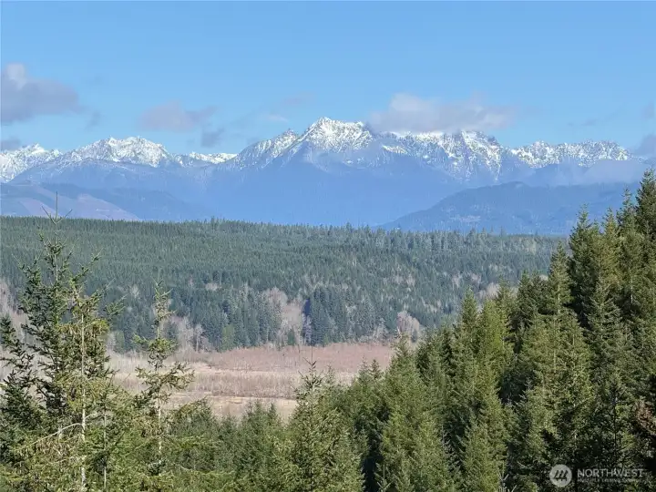 View from potential building site.