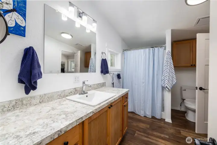 Primary bath with walk-in shower