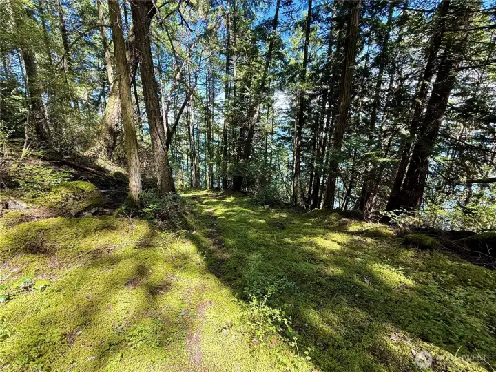 Road to lower waterfront section.