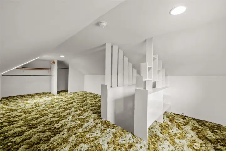 Upper-level bonus space/bedroom.