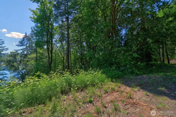 Closer view of the lot from Bridger Lane, showcasing the natural tree coverage.