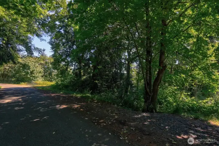 View from Bridger Lane looking toward the lot, set among an established neighborhood.