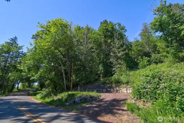View from Shorecrest Drive toward the lot (trees)— see the potential, as shown by the cleared lot next door