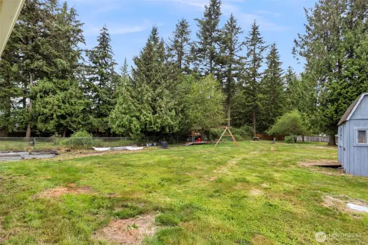 HUGE backyard