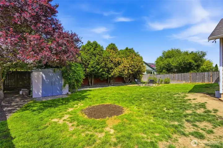 Backyard with shed