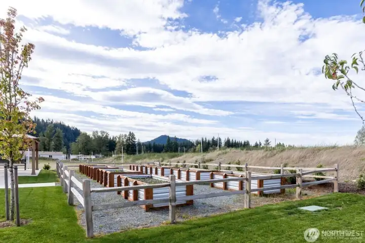Raised Garden Beds Raised Garden Beds