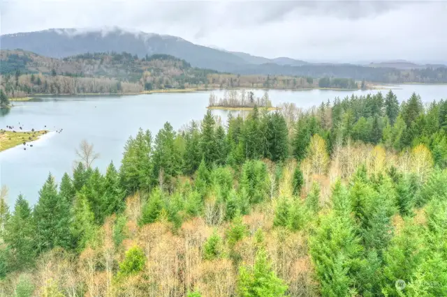 Aerial view of top of property, which was partially logged.  A partial view of lake through the trees.