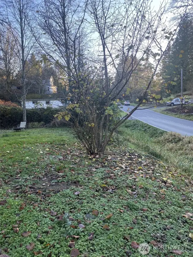30th Steet from front yard.