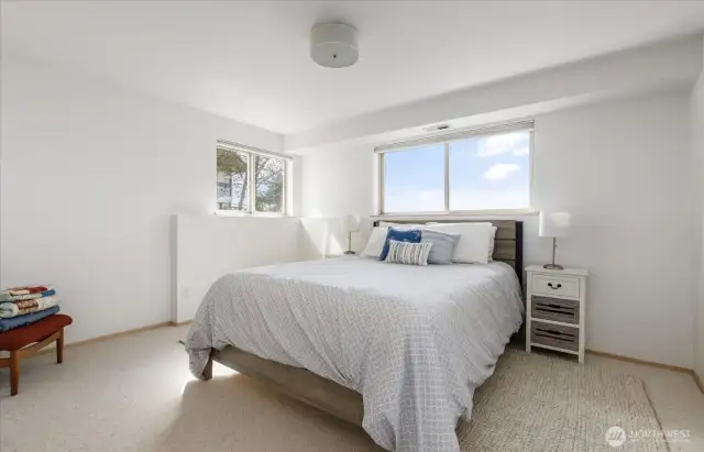 Lower level guest room