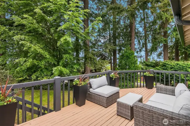 2nd deck, great for relaxing or entertaining