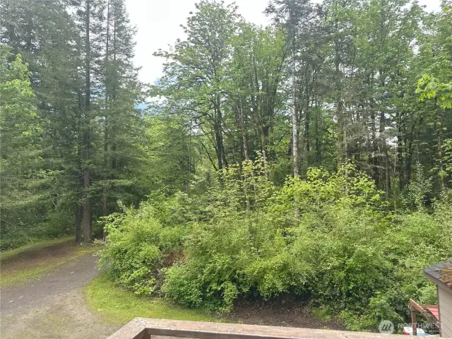 View from deck.