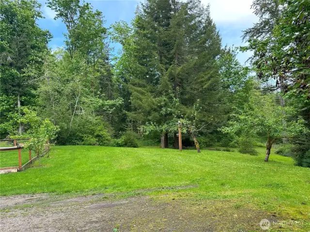 Large yard with fruit trees.