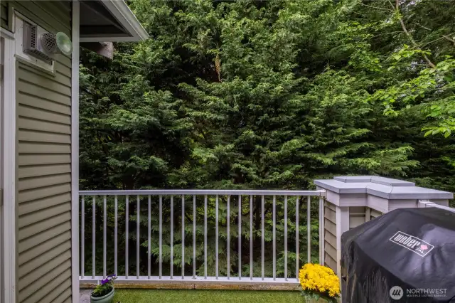 Balcony, with Storage & Water Heater in Closet, and all with Views of Green Belt, & Sitting Park.