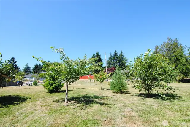 From back of lot