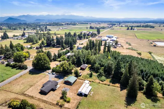 Mt Rainier view in the neighborhood.