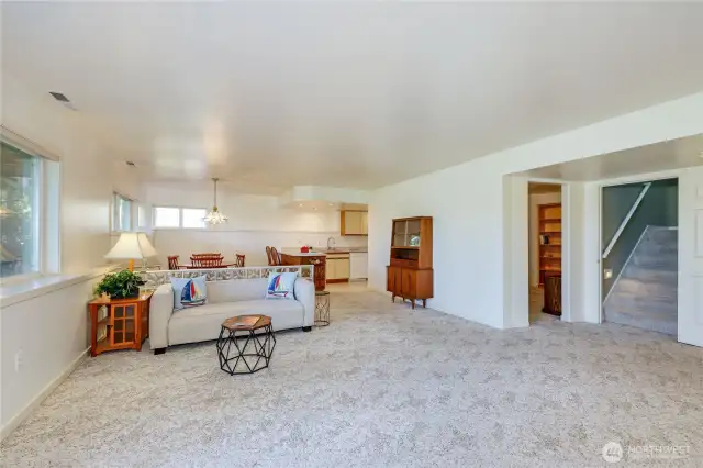 Lower level living area