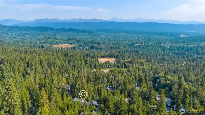 Aerial view of home and neighborhood