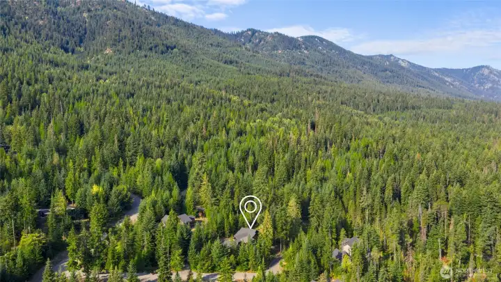 Aerial view of home and neighborhood