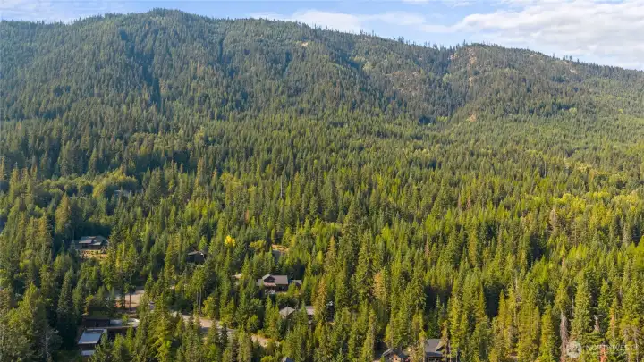 Aerial view of home and neighborhood