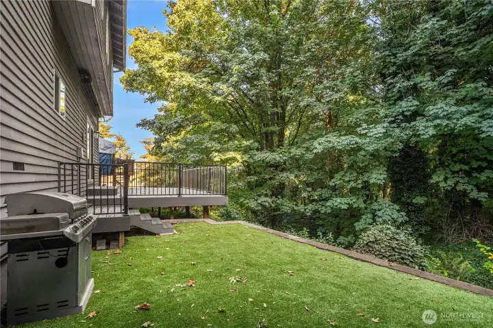 fun flat backyard