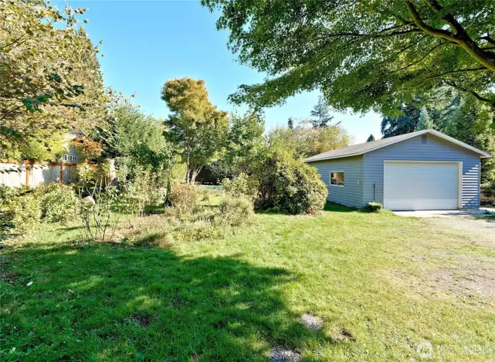 More of north side of property