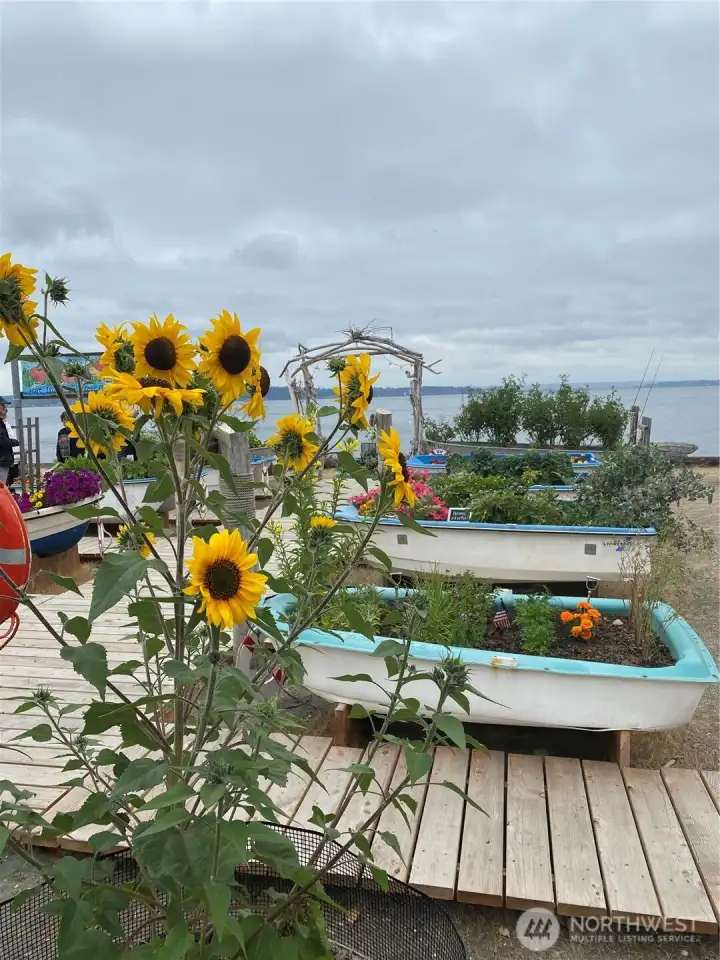 Hat Island Community Garden
