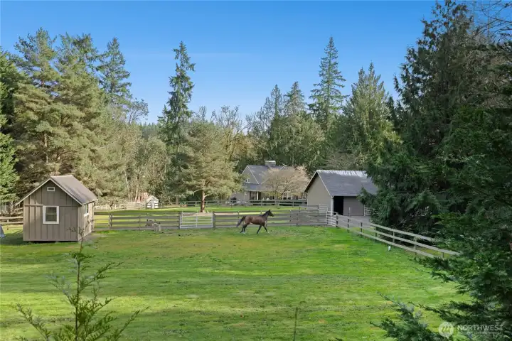 From the Glamping Nests, enjoy a sweeping view across the west paddock to the main paddock, with the barn and home perfectly framed by towering evergreens. The fenced, open green space highlights the property’s true equestrian functionality—ideal for turnout, grazing, and daily barn life.