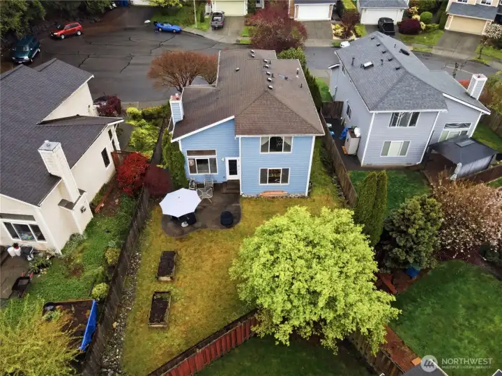 Fenced private backyard