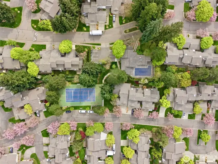 Pool & Tennis/Pickleball Courts