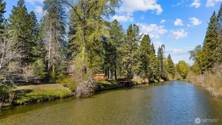 Where the forest meets the water.