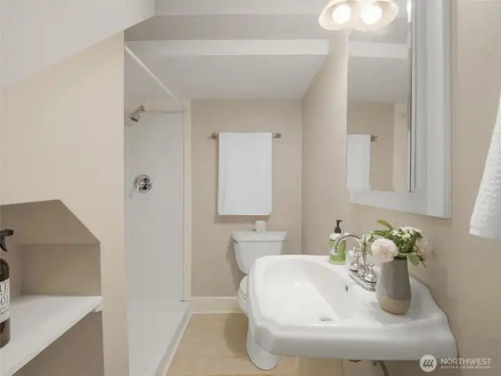 Lower level bathroom