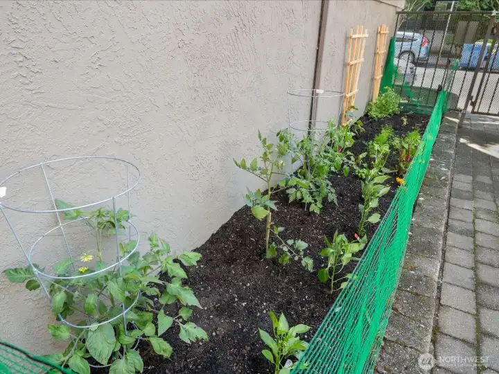 There is even a comunity garden which you are welcome to putter in.