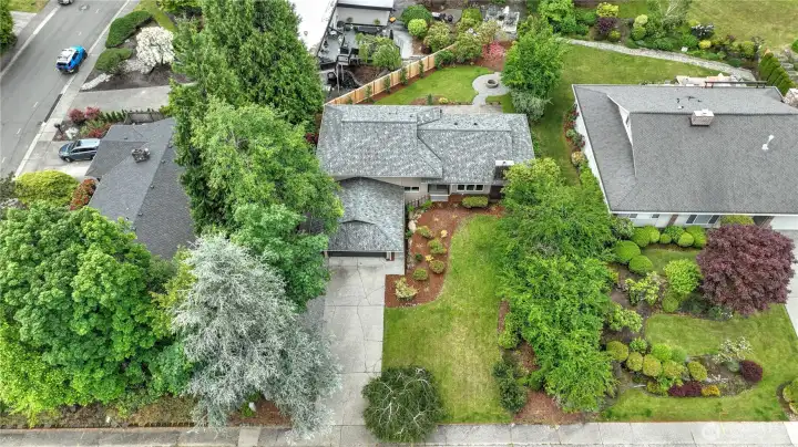 Large lot with new fence and privacy trees lining the back yard. Large lot with new fence and privacy trees lining the back yard.