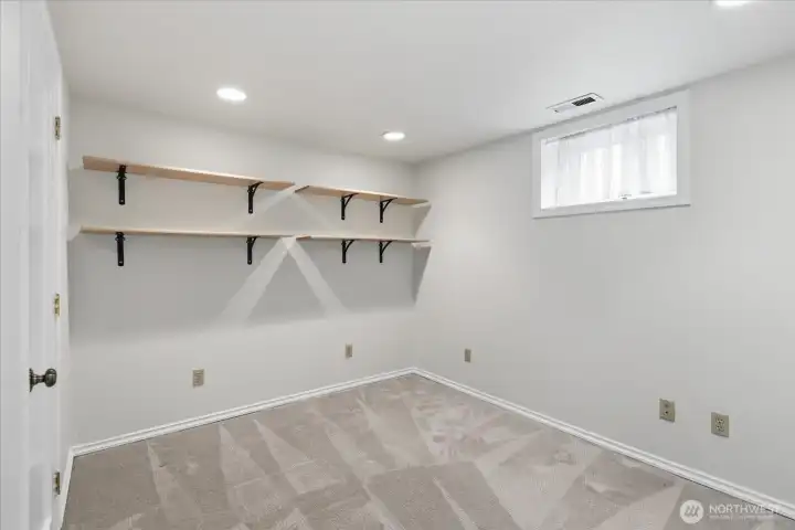 Lower level bedroom #2 with built in shelves