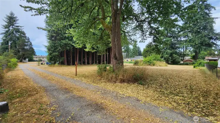 Home at end of shared Driveway has been sold. please do not venture past the arrow sign.