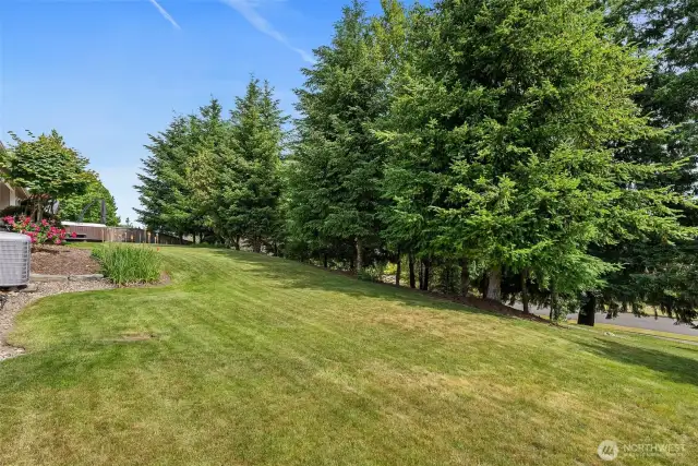 Privacy in your backyard!  Back yard has some slight terracing, property corners are mark.