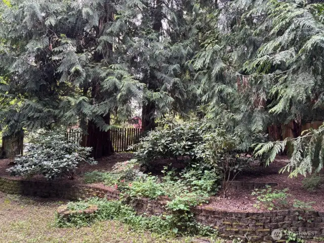 Side yard is private and terraced.