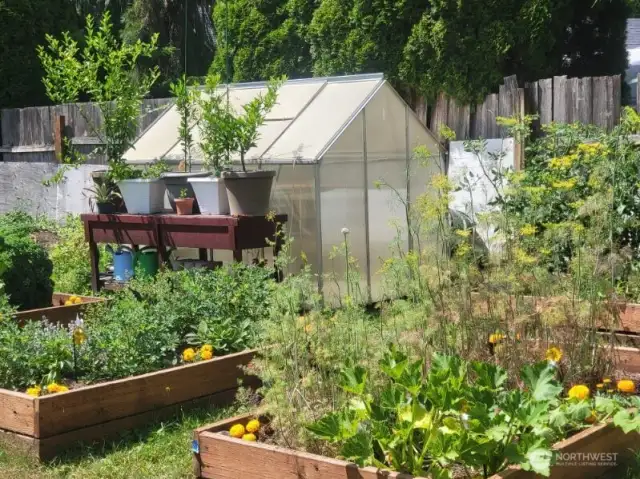 Greenhouse and raised vegetable beds.