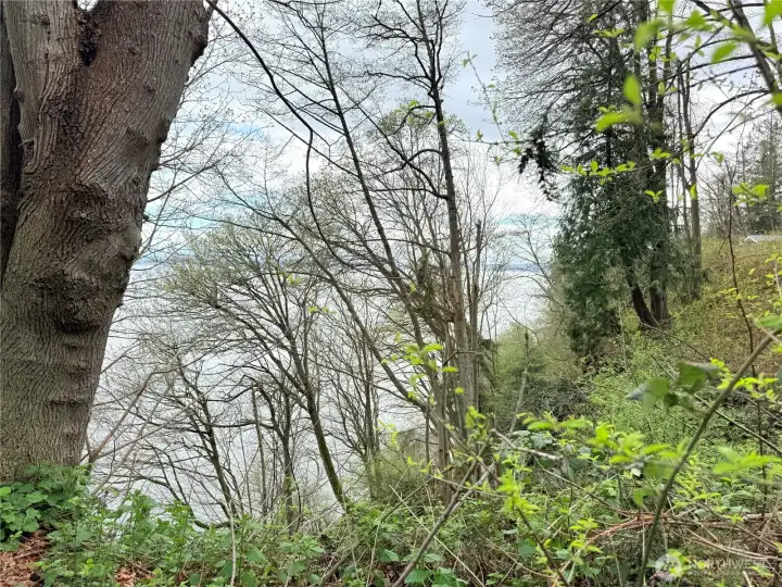 Bluff lot with gorgeous water views of boat traffic from Everett, whale watching & the mountain views are of snow capped Mt Baker & the Cascade Mtn Range.