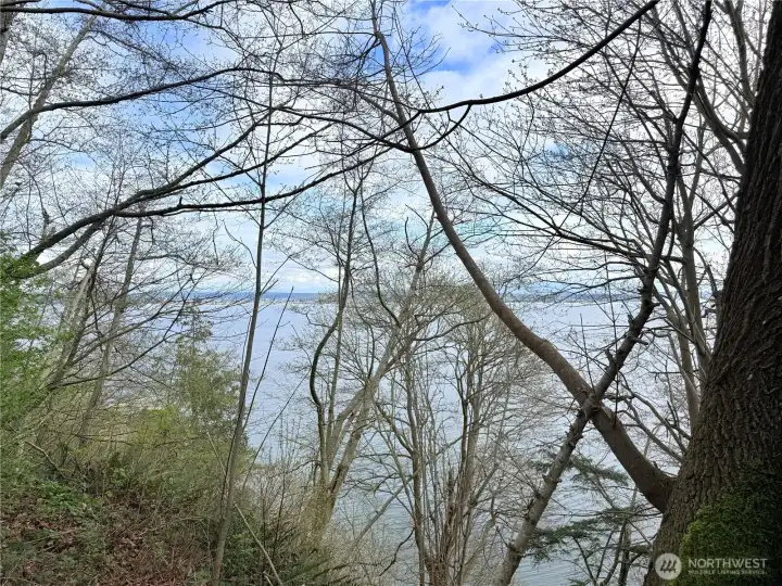 Bluff lot with gorgeous water views of boat traffic from Everett, whale watching & the mountain views are of snow capped Mt Baker & the Cascade Mtn Range.
