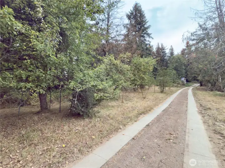 Driveway past the gated entrance, fruit trees and lilac trees line the driveway