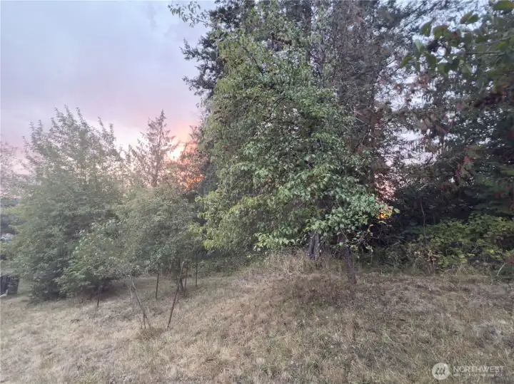 5+ acres with fruit orchard, 36x40 shop, ADU, home with a deck, views of the Columbia River, property can be further developed