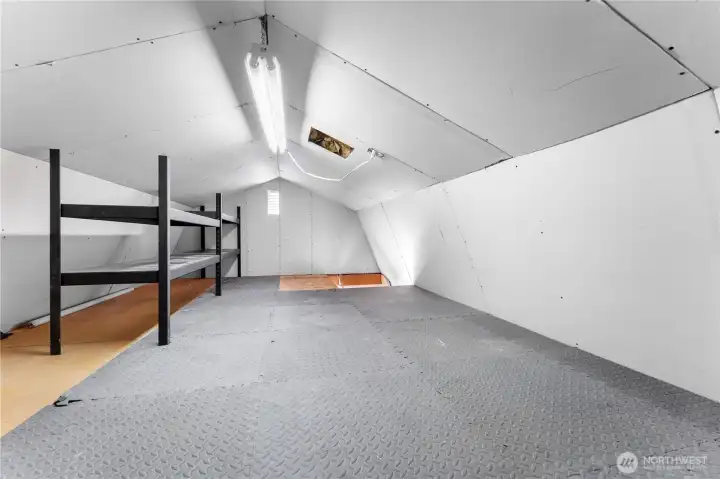 Loft/storage area of shed