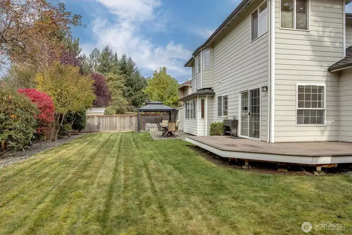 Great grassy play-space out back